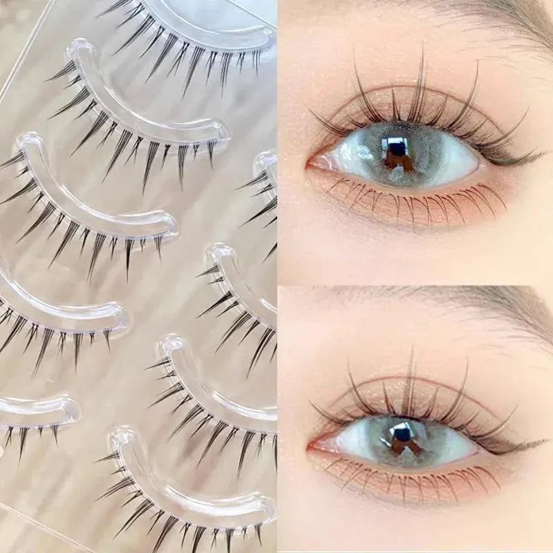 Trinity Lash Collection – Natural False Eyelashes (5 Pairs) House of Trinity