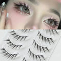 Trinity Lash Collection – Natural False Eyelashes (5 Pairs) House of Trinity