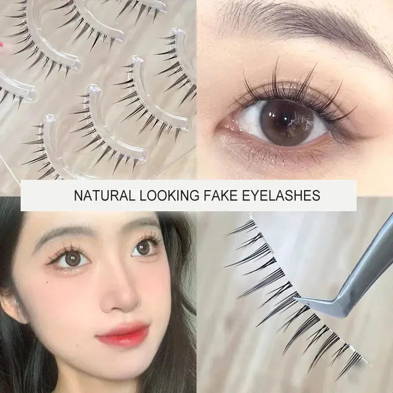 Trinity Lash Collection – Natural False Eyelashes (5 Pairs) House of Trinity